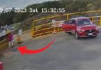 EVO ŠTA JE TROVAČICA PEČURKAMA RADILA POLA SATA NAKON SMRTONOSNOG RUČKA! 