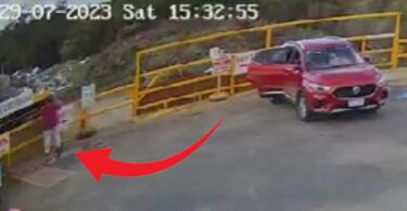 EVO ŠTA JE TROVAČICA PEČURKAMA RADILA POLA SATA NAKON SMRTONOSNOG RUČKA! 