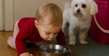 MAMA DALA BEBI DA PIJE VODU IZ ČINIJE ZA PSE – da li je ovo neviđena neodgovornost ili nova „metoda jačanja imuniteta“?