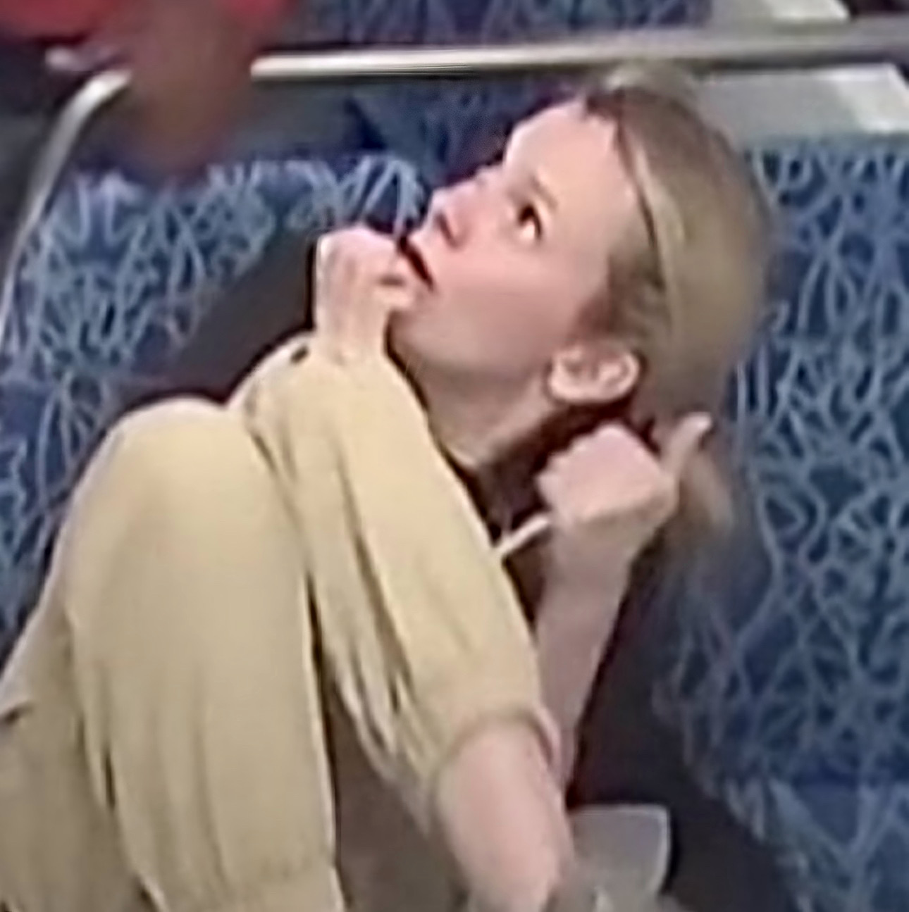ZAKLAO JE UBADANJEM U VRAT: Stravično ubistvo u vozu: Irina nije imala pojma šta joj se dogodilo dok krv nije krenula da šiklja