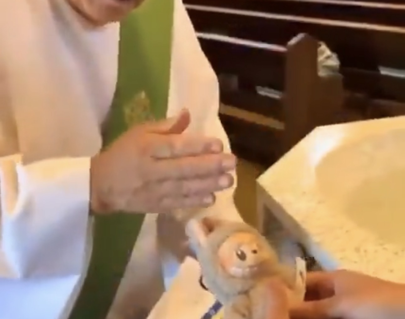 KRSTE “LABUBU” LUTKE RADI ZABAVE! (VIDEO)
