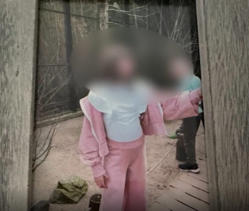 Gluva devojčica Marija (12) iz Srbije ranjena u Nemačkoj: Policija pucala naočigled majke, bori se za život