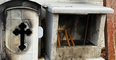 Danas bi Marina Tucaković proslavila svoj 72. rođendan, a na njenom večnom počivalištu NERED, ĐUBRE... Tužne slike sa lica mesta