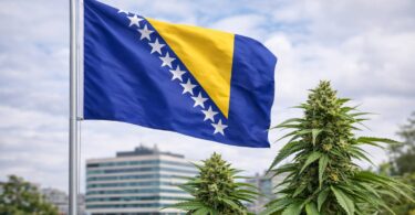 Bosna i Hercegovina legalizovala upotrebu kanabisa u medicinske svrhe