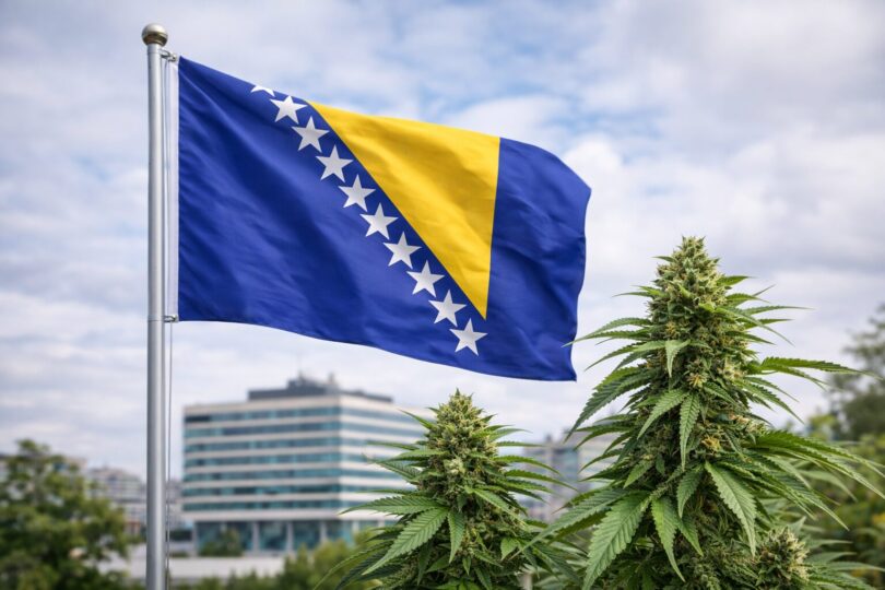 Bosna i Hercegovina legalizovala upotrebu kanabisa u medicinske svrhe