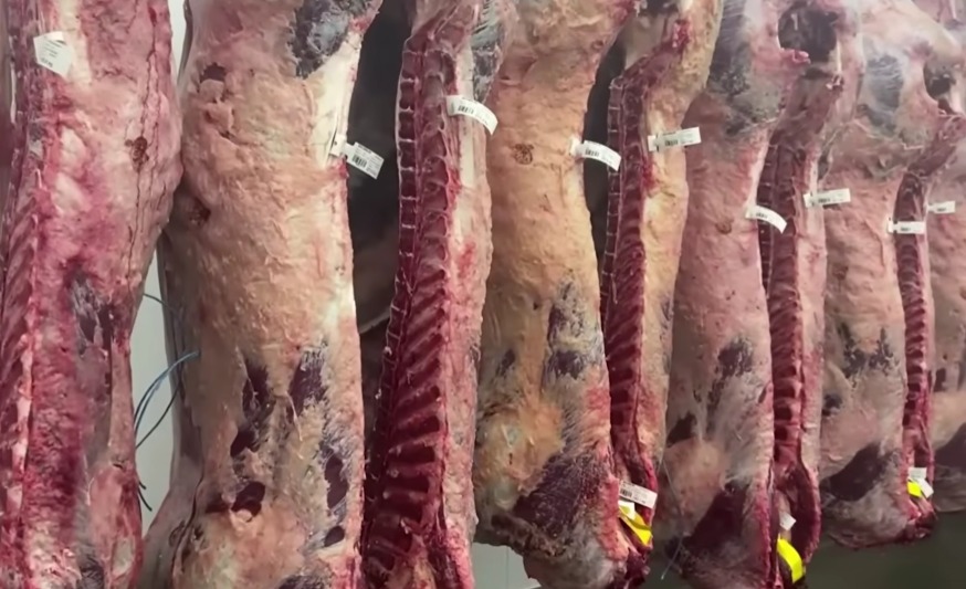 meso foto:Mouse Farm & Agriculture