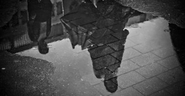 odraz, kiša foto: pixabay