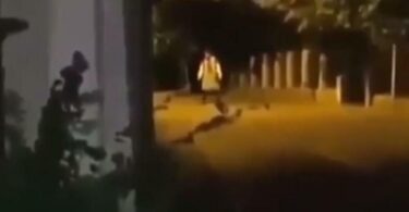 Foto: printscreen žena u nošnji