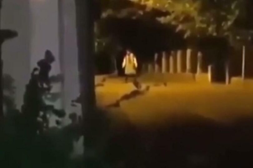 Foto: printscreen žena u nošnji